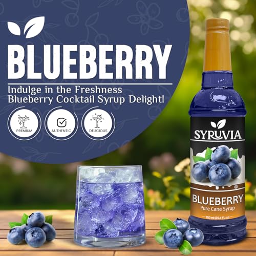 Blueberry Syrup (25.4 Fl Oz)