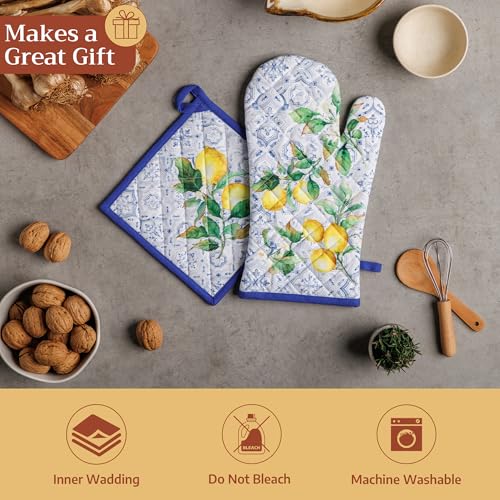 Pot Holders 100% Cotton Potholders (2 Count)