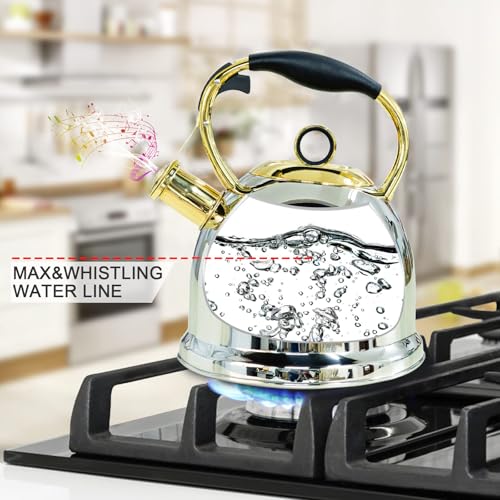 Tea Kettle for Stovetop
