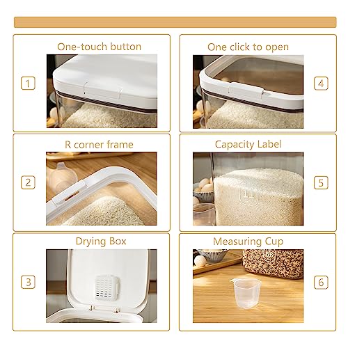 Rice Dispenser 10Lbs