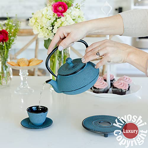 Large 11PC Japanese Tea Set "KONJOU Blue" Cast Iron Tea Pot 26Oz with 4 Tea Cups