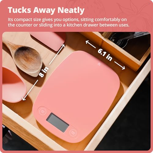 Food Scale Slim & Compact Build