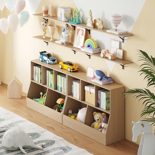 Long Wall Shelves (2 Count)