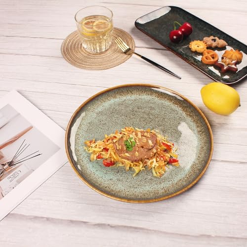 Ceramic Dinner Plates Dish Set (4 Count)