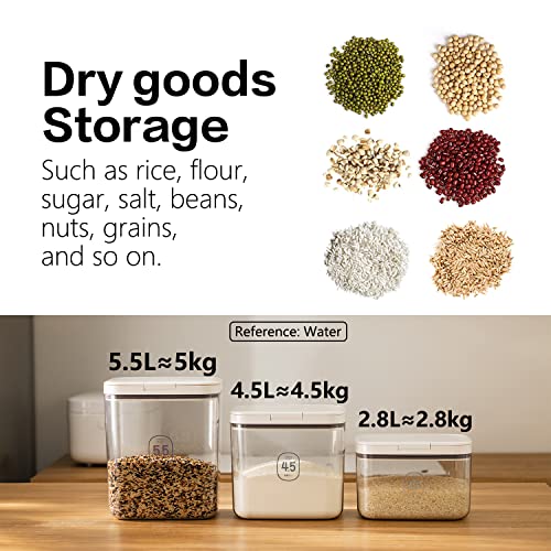 Flour Container