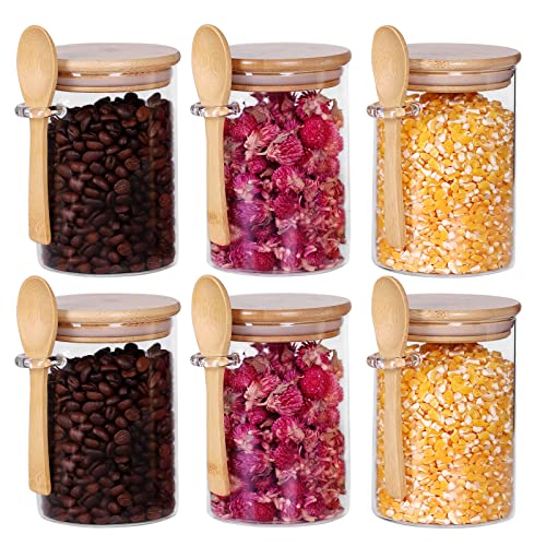 Glass Jars with Bamboo Lids and Spoon Set of 6 (6 Count)