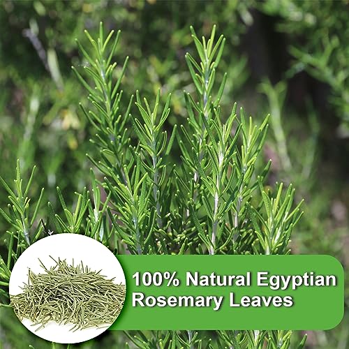Rosemary Tea Bags (36 Count)