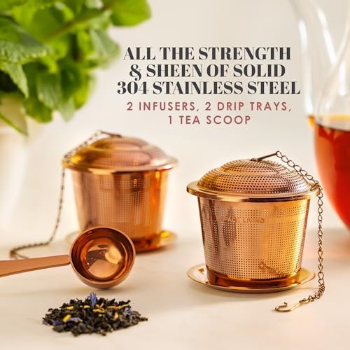 Tea Infuser Set of 2 with Tea Scoop & Drip Trays