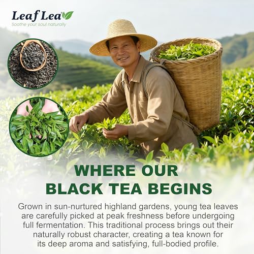 Premium Black Tea Bags (80 Count)