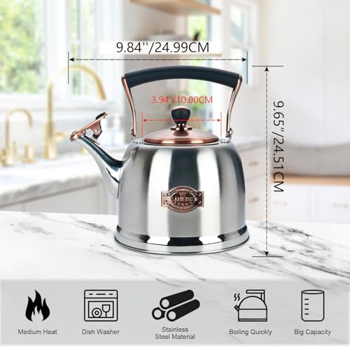 Tea Kettle Stainless Steel Teapot