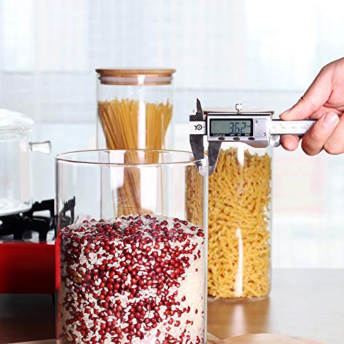 Large Glass Food Storage Container