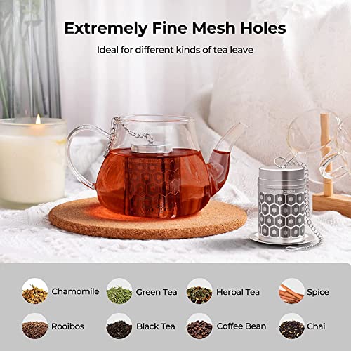 2 Pack Reinmoson 304 Stainless Steel Tea Infuser for Loose Leaf Tea Steeper (2 Count)