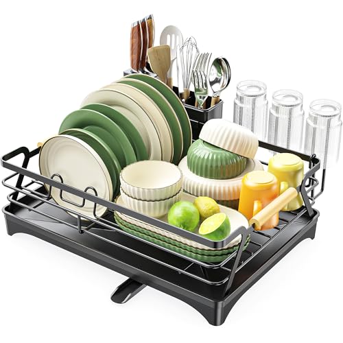 Dish Drying Rack for Kitchen Counter