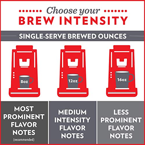 Christmas Blend (10 Count)