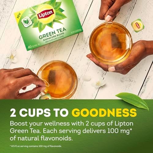 Signature Blend Green Tea with Jasmine 240 (240 Count)