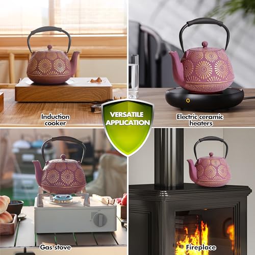 Cast Iron Teapot