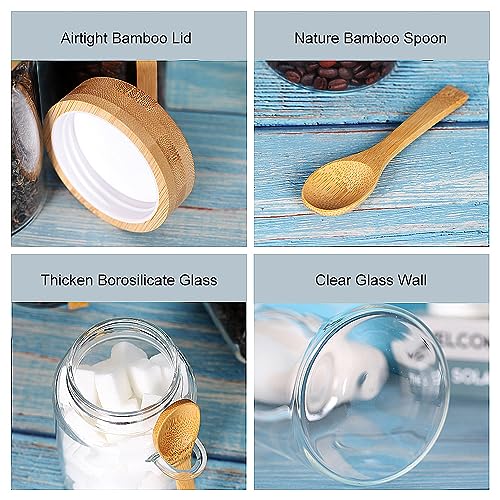 Glass Jar with Screw Lid and Spoon (3 Count)