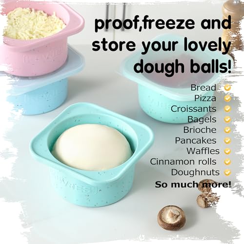 PLUS 1000ml Pizza Dough Proofing Containers for DIY family Artisan Pizza (3 Count)