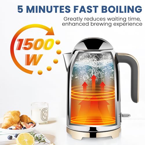 57oz Electric Kettle with Thermometer