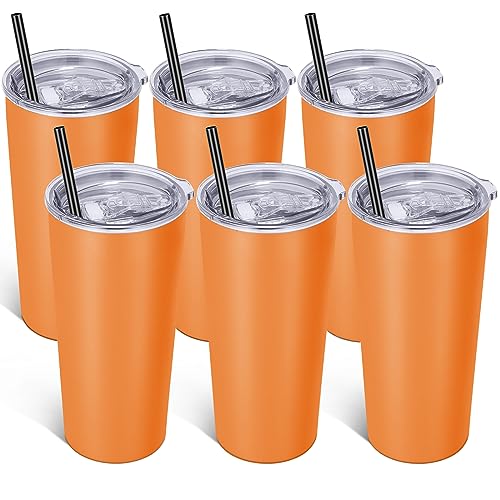 20oz Tumbler Stainless Steel Tumbler with Lid And Straw Vacuum Insulated Double Wall Travel Coffee Mug (6 Count)