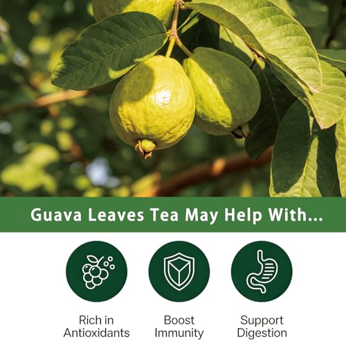 Guava Leaves Tea Bags (50 Count)