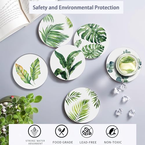 6 Pcs Coasters for Drinks with Holder