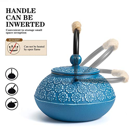 Cast Iron Tea Pot with Infusers for Loose Tea
