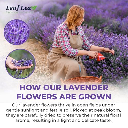 Lavender Tea Bags (40 Count)