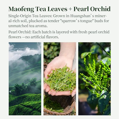 Pearl Orchid Green Tea Huangshan Maofeng Green Tea Fresh And Refreshing Loose