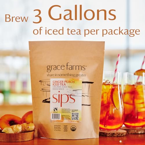 GINGER PEACH ORGANIC ICED TEA (12 Count)
