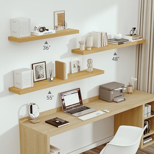 Deep Floating Shelves 55x10” Set of 1