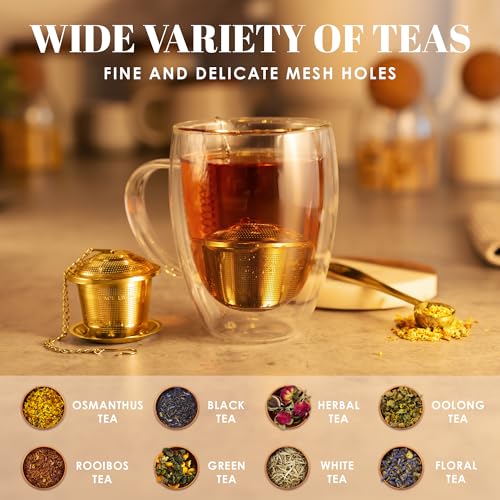 Tea Infuser Set of 2 with Tea Scoop & Drip Trays