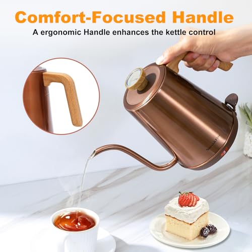 Electric Gooseneck Kettle with Thermometer
