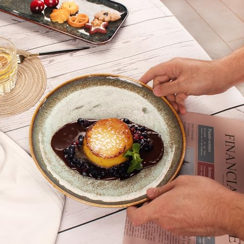 Ceramic Dinner Plates Dish Set (4 Count)