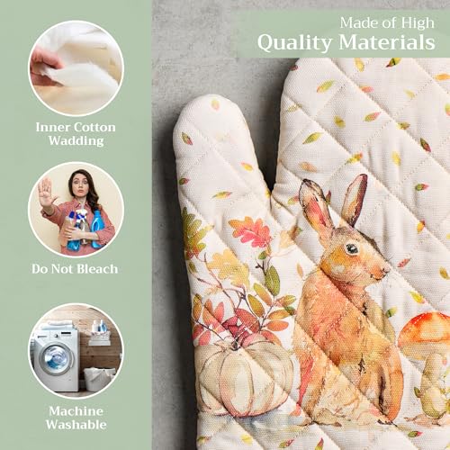 Maison d'Hermine Oven Gloves 100% Cotton Oven Mitt