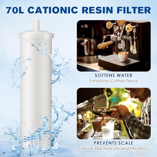 2 Pack Cationic Resin Filter