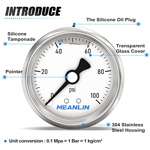 0~100Psi Stainless Steel 1