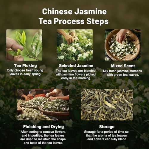 Jasmine Loose Leaf Green Tea (3.5 Ounce)