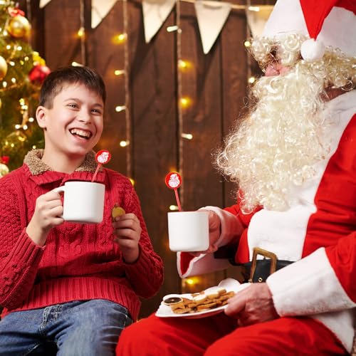 30 Pcs Christmas Drink Stirrers Santa Claus Stir Sticks (30 Count)