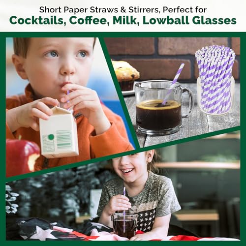 Small Purple Paper Cocktail Straws (500 Count)