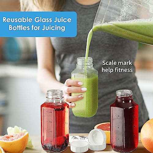 6 Pack 16 Oz Glass Juice Bottles with Lids (6 Count)