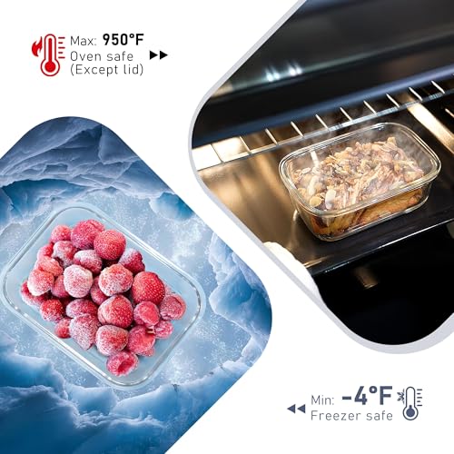 10 Pack Glass Food Storage Containers with Tempered Glass Lids (10 Count)