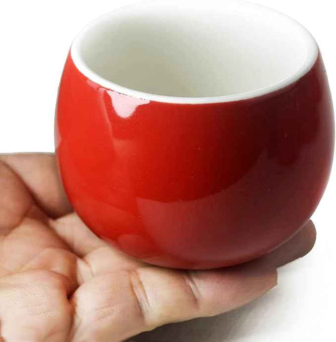 Chinese Tea Gift Set Service Porcelain Tea Pot 4 Cups tray for Adults Men Women Tea Ceremony Wedding Party Home Decor (Double Happiness)