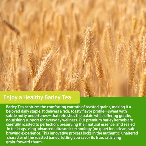 Barley Tea 4g X 50 Count