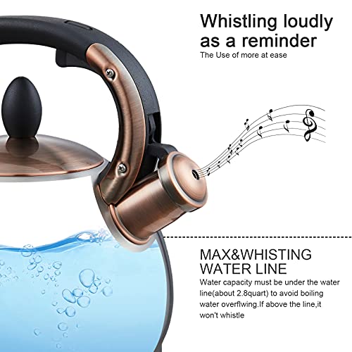 Tea Kettle 2.8 Quart Tea Kettles Stovetop Whistling Teapot Stainless Steel Tea Pots for Stove Top Whistle Tea Pot