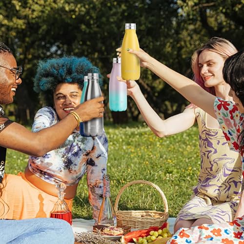 Insulated Water Bottle (2 Count)