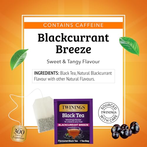 Blackcurrant Breeze Black Tea Individually Wrapped Bags (100 Count)