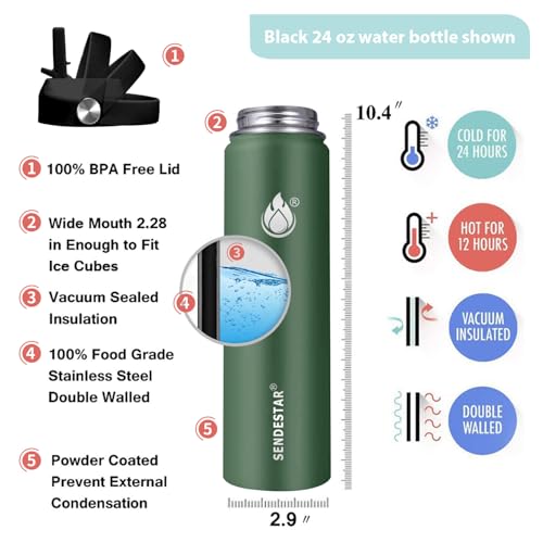 Insulated Water Bottle 24 oz with Straw