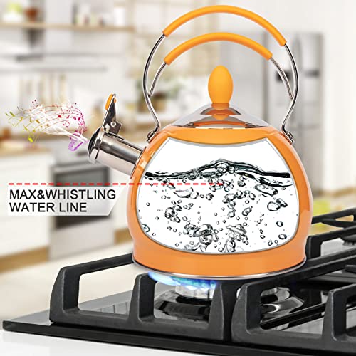 Whistling Tea Kettle Stainless Steel Teapot