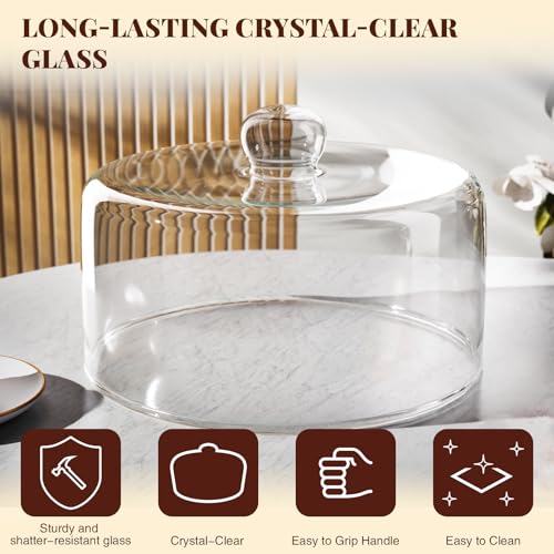 11 Inch Glass Cake Dome Cover for Cake Stand